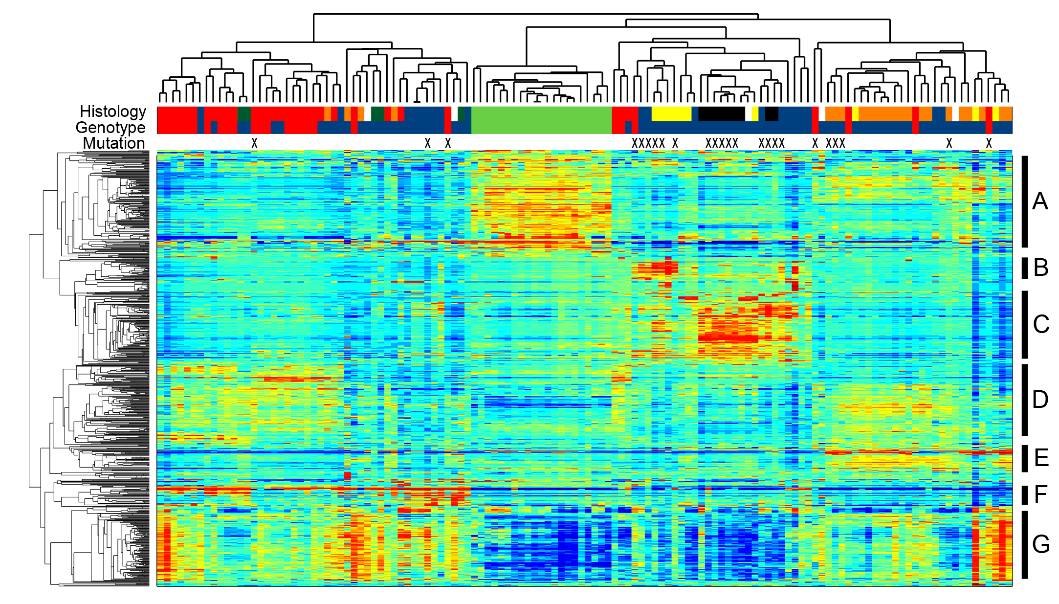 Heatmap